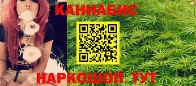 прущие крисы Аргун