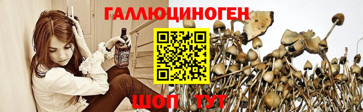 Галлюциногенные грибы прущие грибы  Вход с VPN  Белебей  Псилоцибиновые грибы мухоморы 
